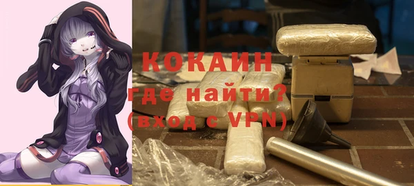 бошки Белокуриха