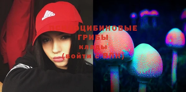 прущий лед Беломорск