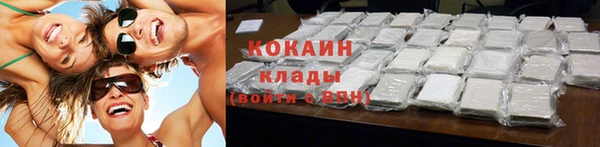 бошки Белокуриха