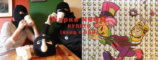 бошки Белокуриха