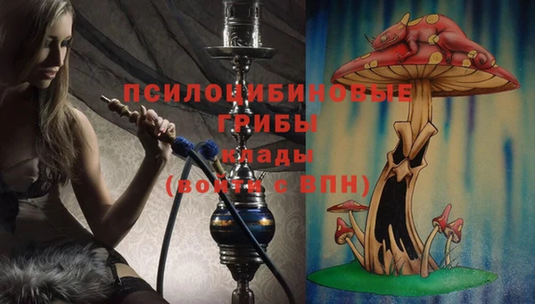 соль ск Белоозёрский