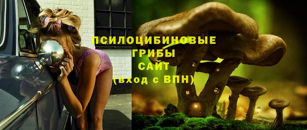 бошки Белокуриха