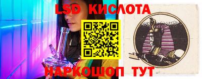 крисы Камышлов