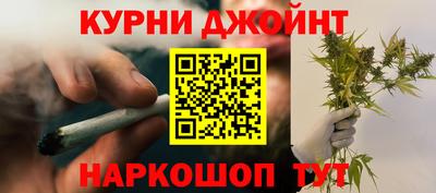 крисы Камышлов