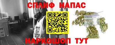 крисы Камышлов
