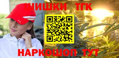 крисы Камышлов