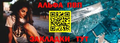 крисы Камышлов